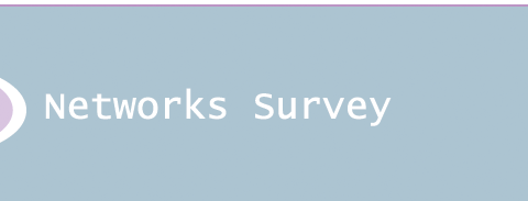 Networks Survey